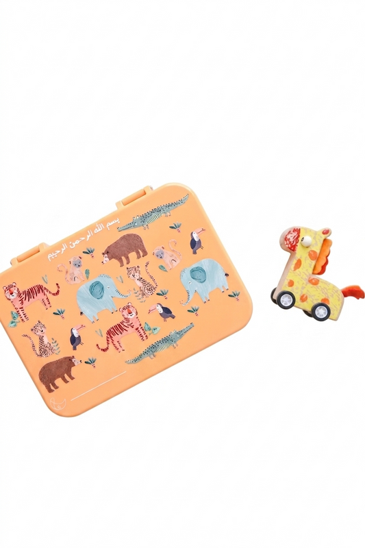 The Sunny Safari Box