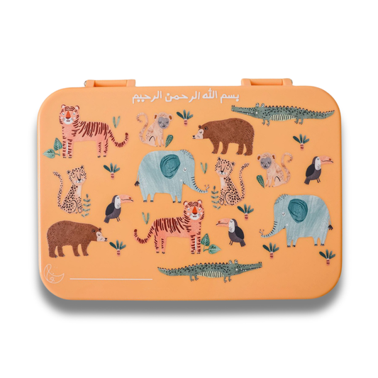 The Sunny Safari Box